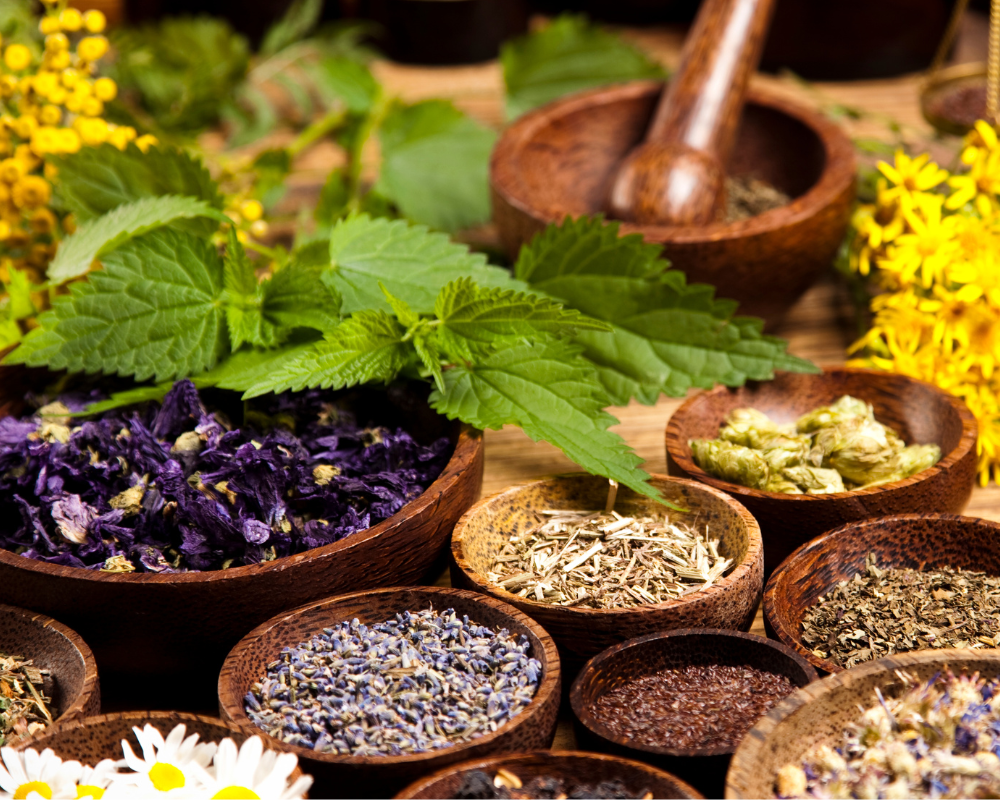 herbs and lavender