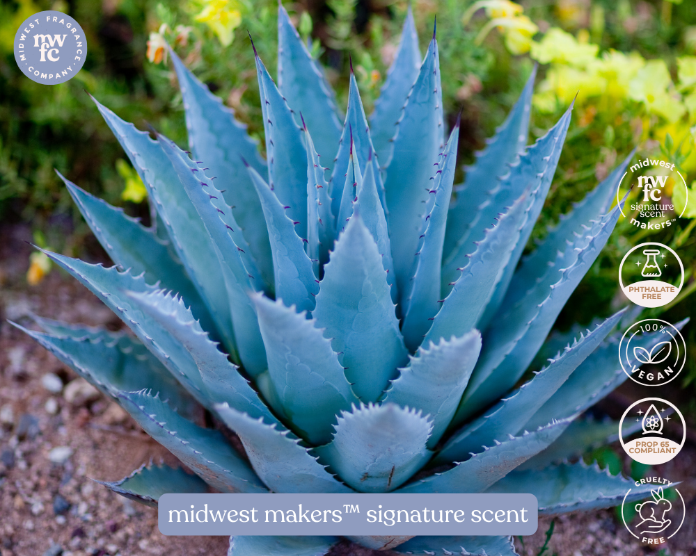Agave Nectar + Lime Blossom - Fragrance Oil
