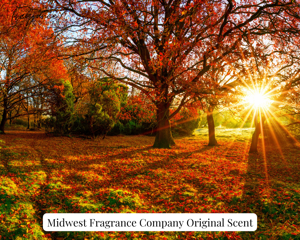 Golden Skyline - Fragrance Oil