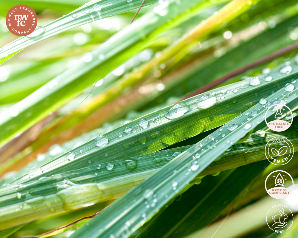 Lemongrass - Fragrance Oil