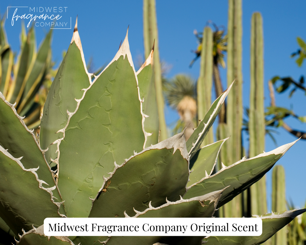 Cactus Water - Fragrance Oil