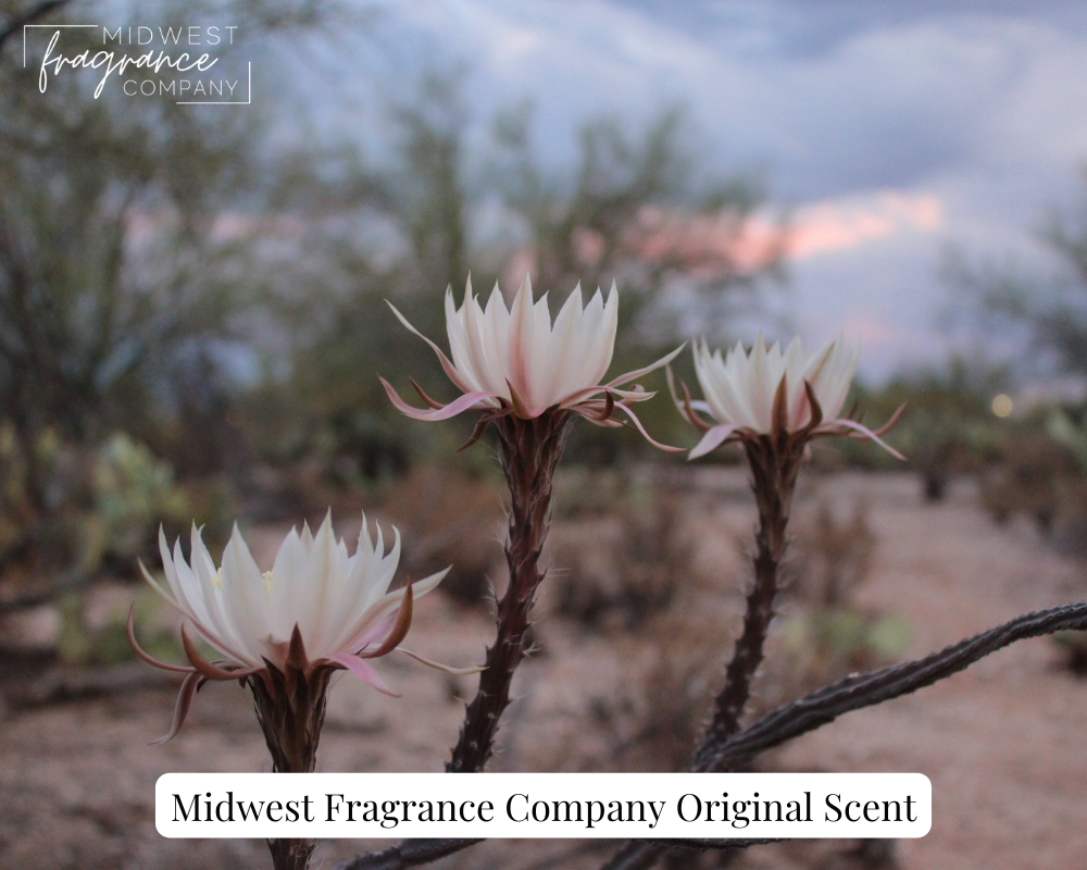 Queen of the Night - Fragrance Oil