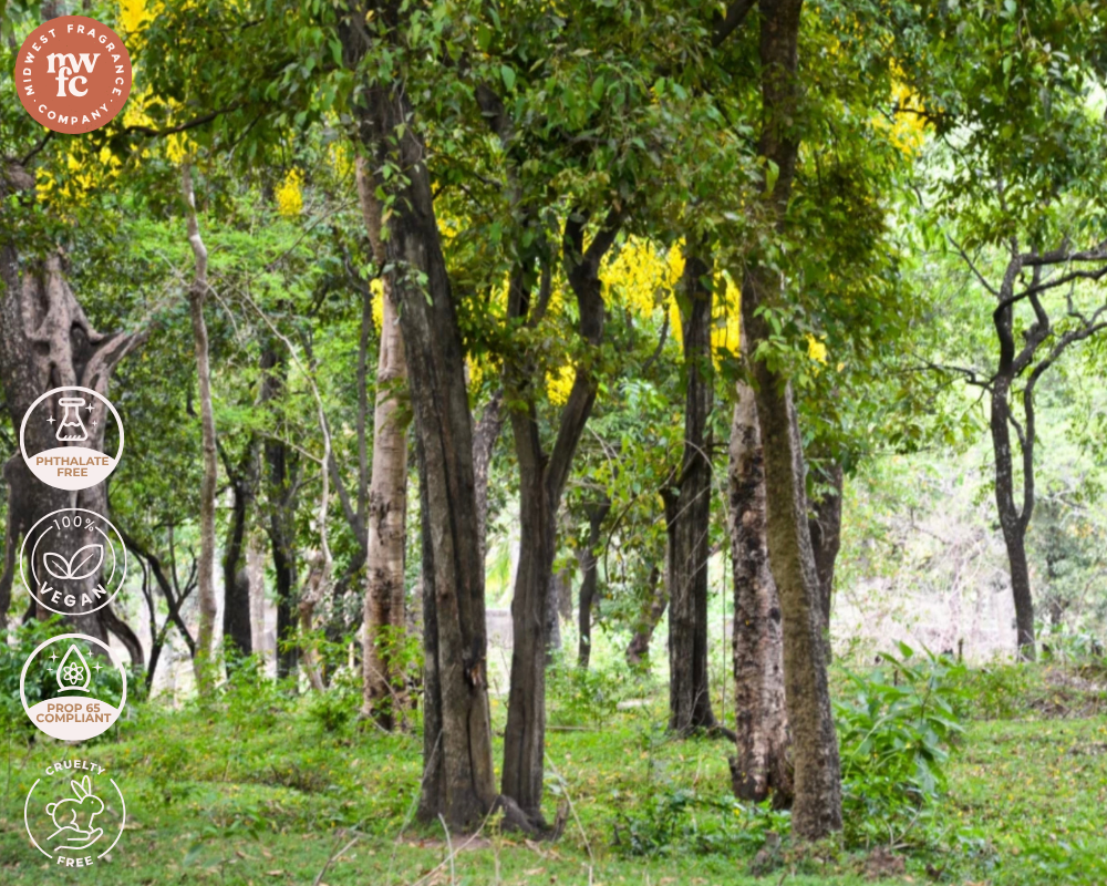 Bergamot + Sandalwood - Fragrance Oil