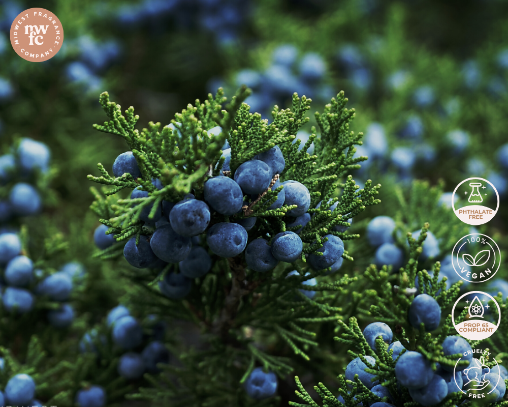 Juniperberry + Pine (type) - Fragrance Oil – Midwest Fragrance Company