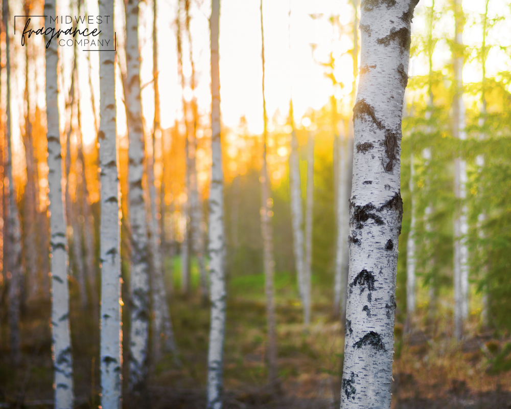 Chestnut + Birch (type) - Fragrance Oil