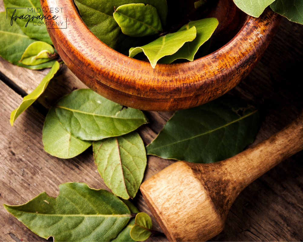Tobacco + Bay Leaf - Fragrance Oil