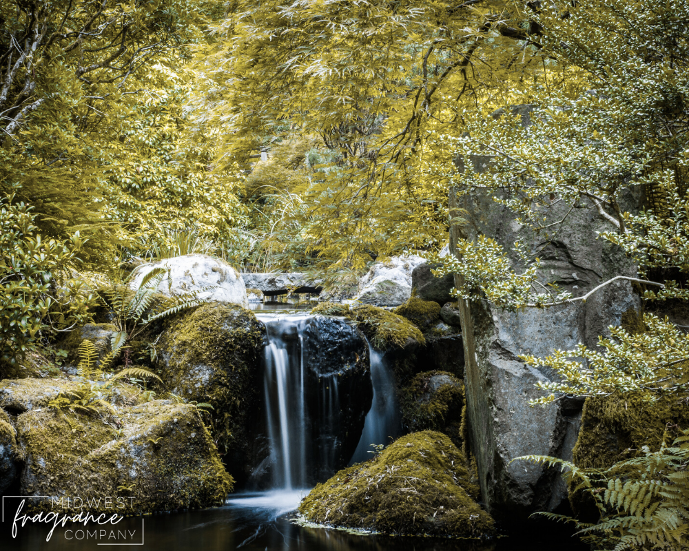 Oakmoss + Amber - Fragrance Oil – Midwest Fragrance Company