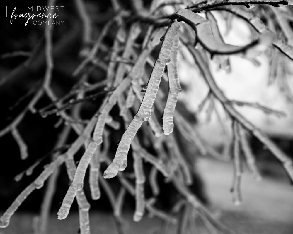 Black Ice (type) - Fragrance Oil