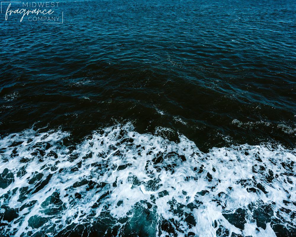 Black Sea - Fragrance Oil