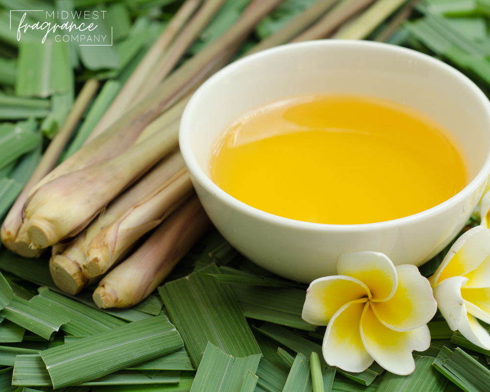 Citronella - Fragrance Oil