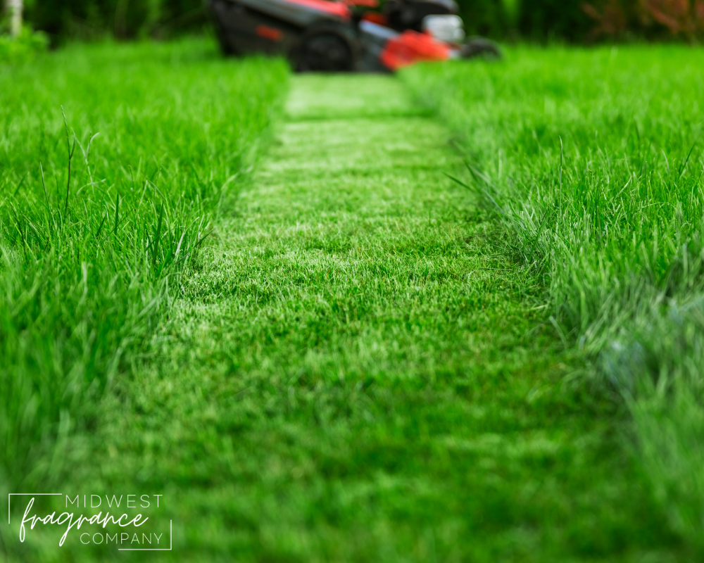 Fresh Cut Grass Fragrance Oil Midwest Fragrance Company