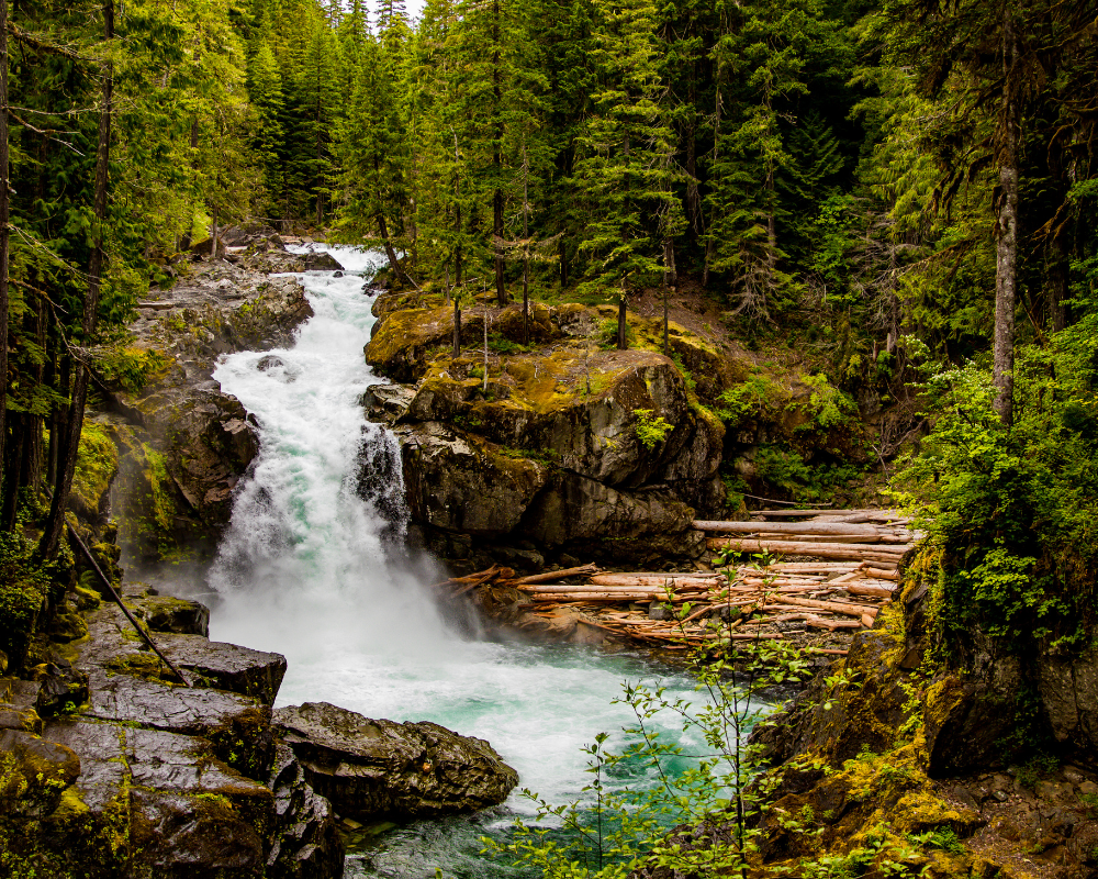 waterfall forest