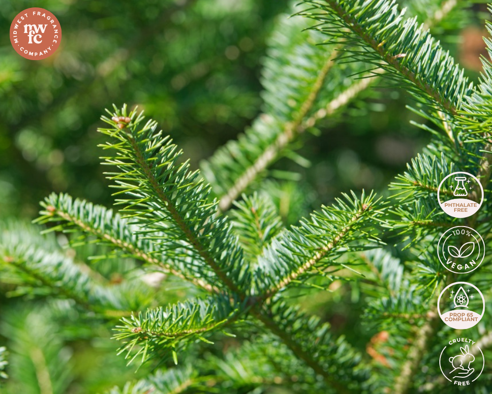 Balsam Fir - Fragrance Oil