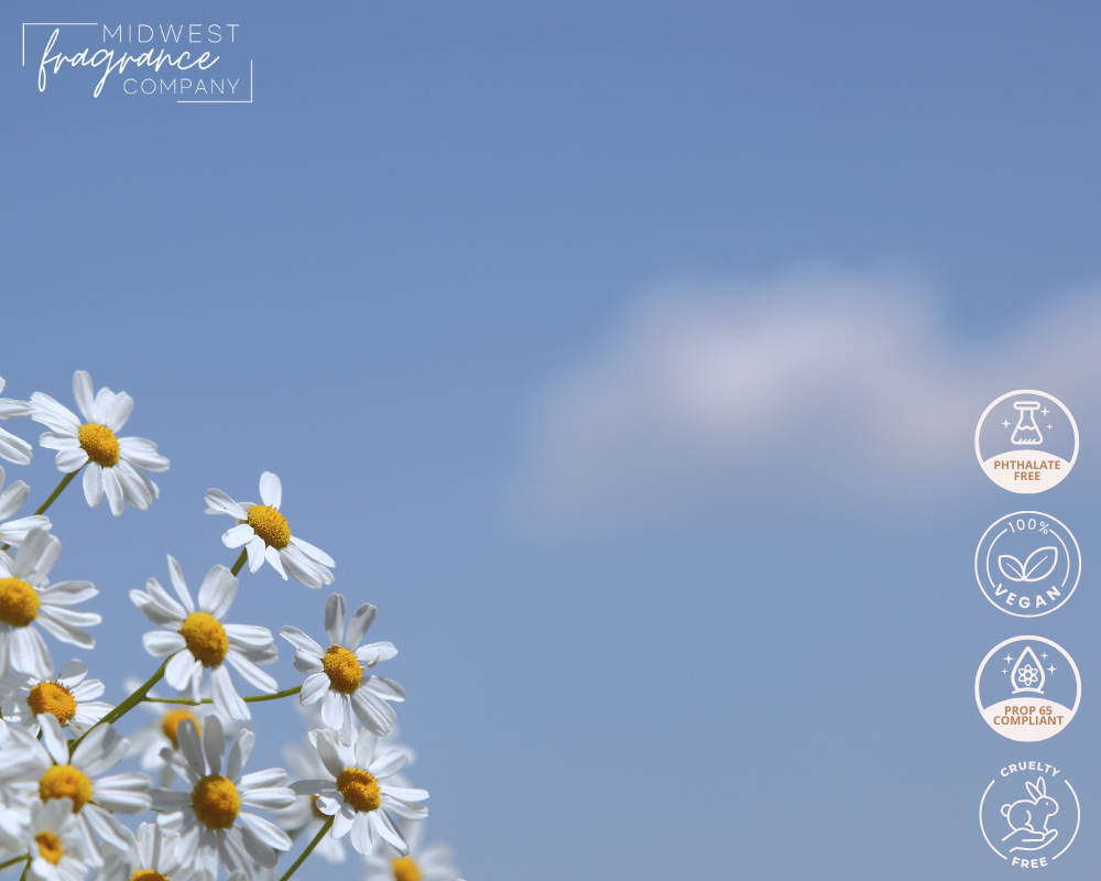 Gingham (type) - Fragrance Oil