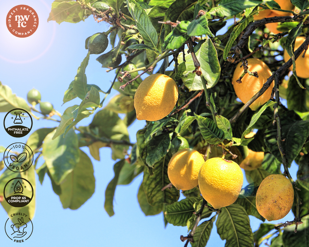 Lemon Unhinged - Fragrance Oil