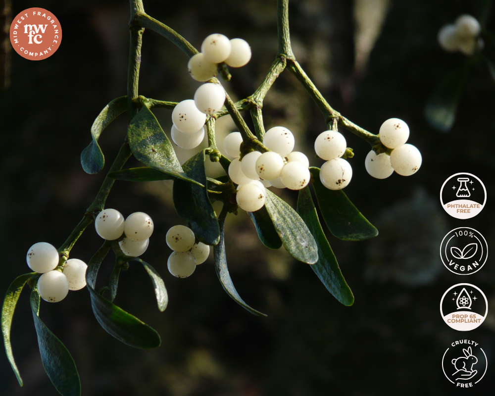 Mistletoe - Fragrance Oil