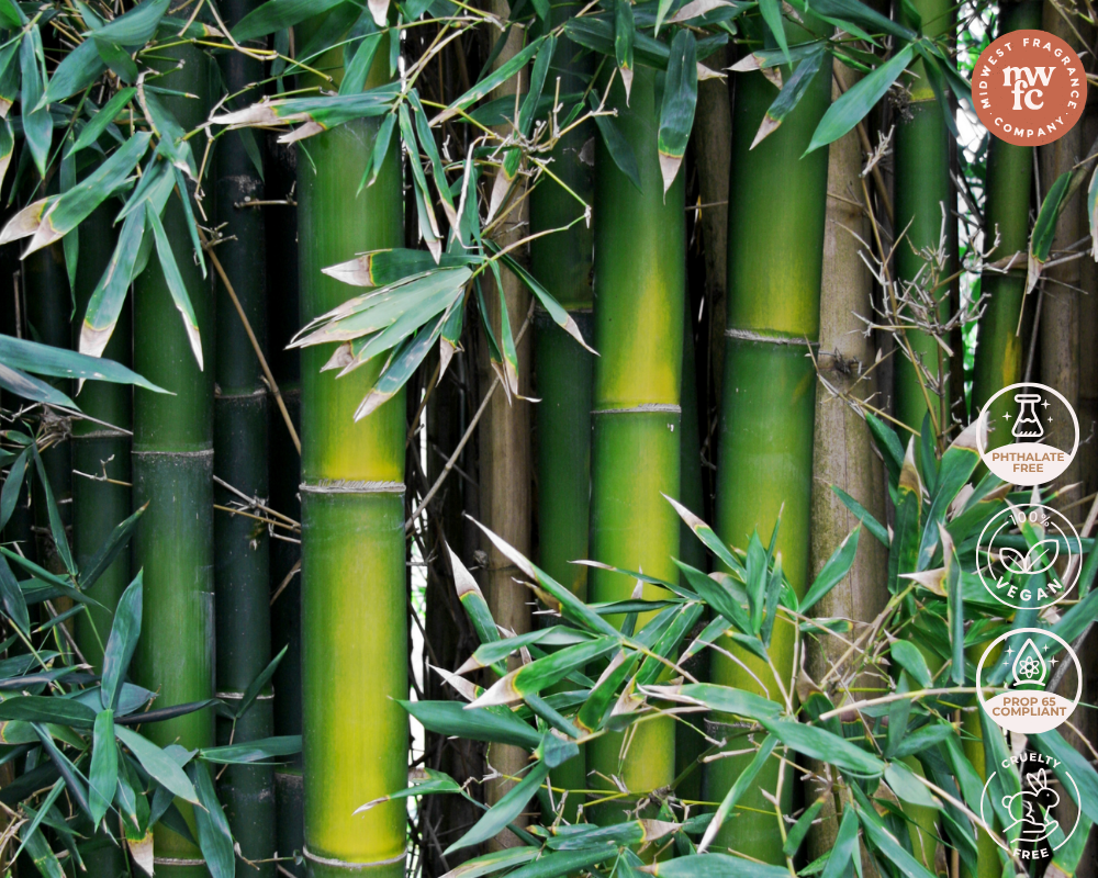 Bamboo + Teakwood - Fragrance Oil