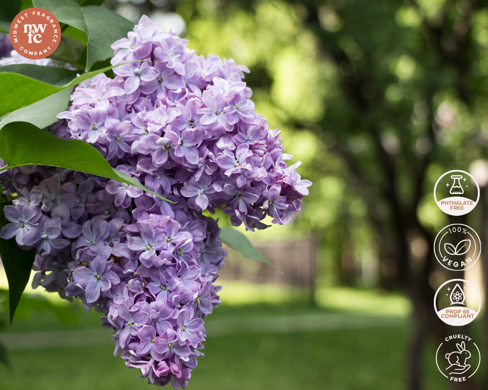 Lilac - Fragrance Oil