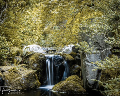 38.png?v=1643815361&width=480